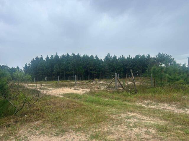 #389 - Terreno para Venda em Passo de Torres - SC - 2