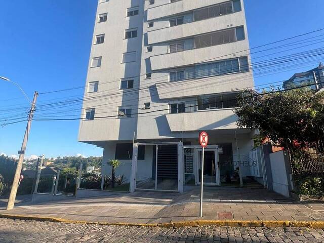 Venda em Panazzolo - Caxias do Sul