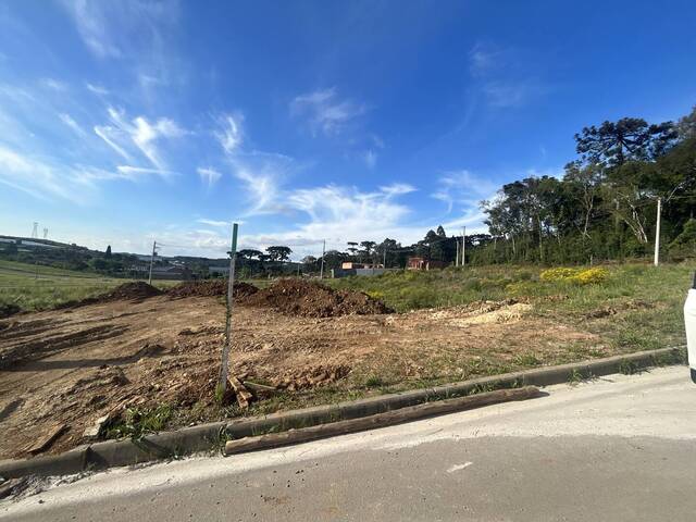 #1752 - Área para Venda em Caxias do Sul - RS - 2