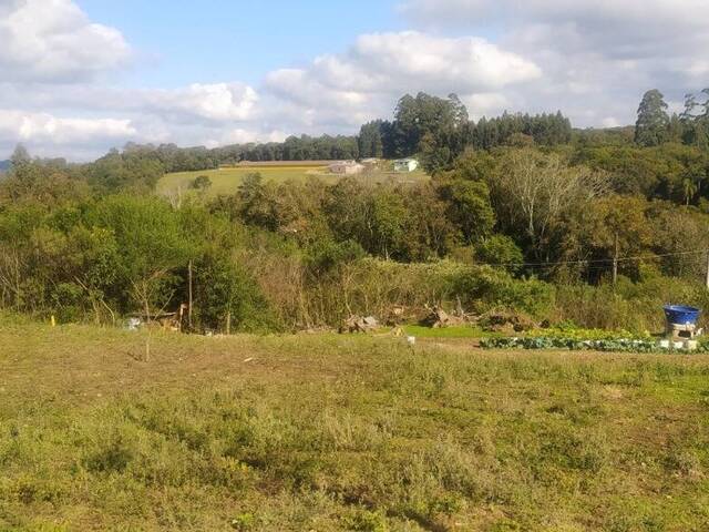 Venda em São Caetano - Caxias do Sul