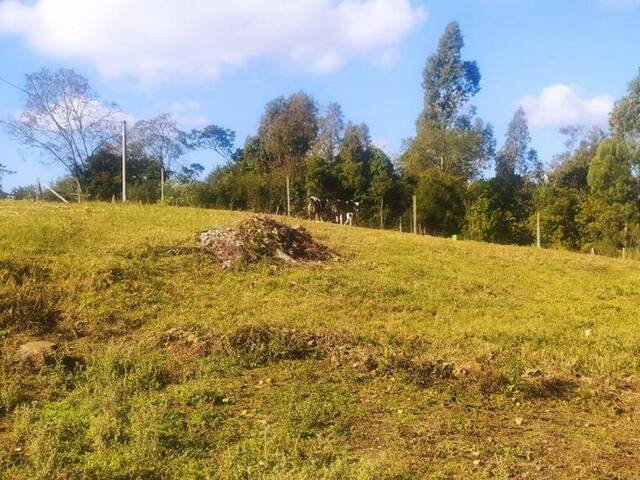 #1756 - Área para Venda em Caxias do Sul - RS - 2